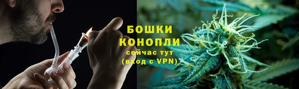 PSILOCYBIN Бородино